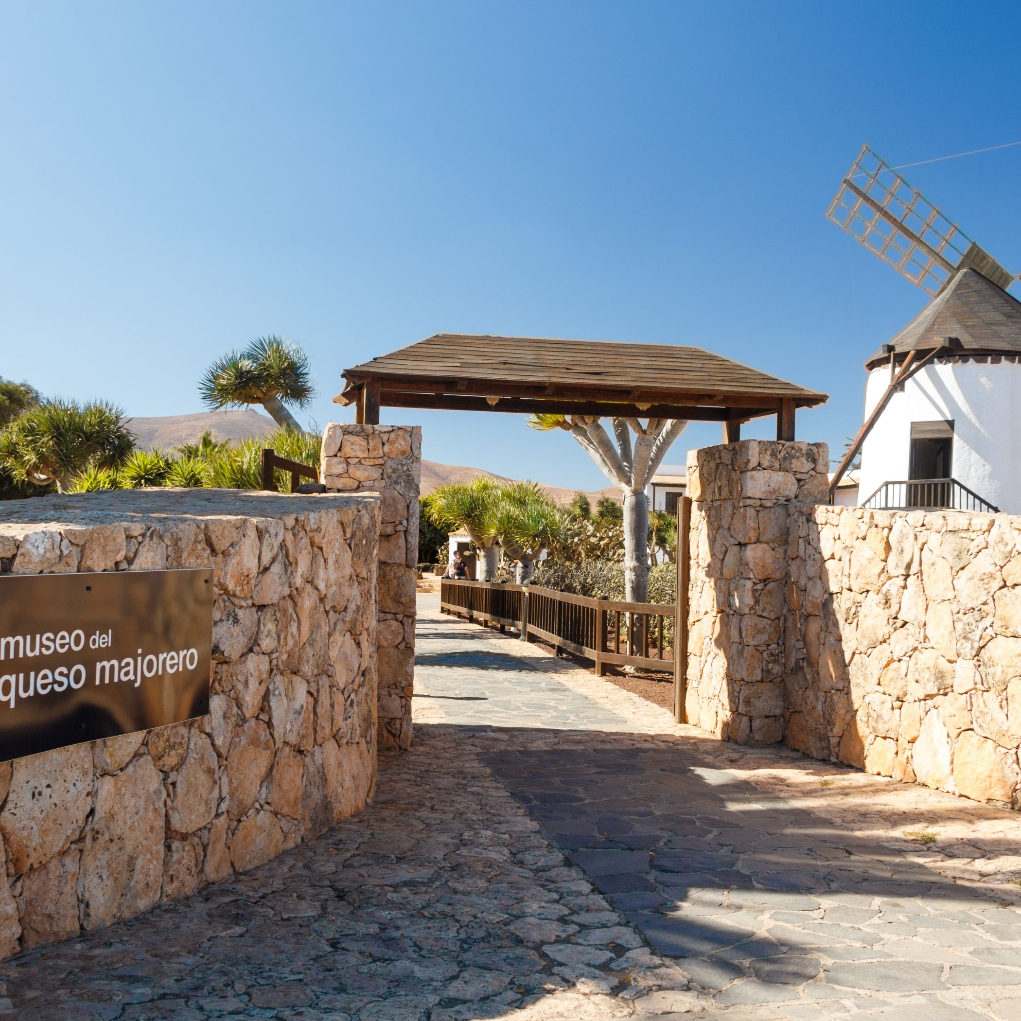 Museo del queso majorero en Fuerteventura
